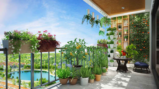 Trang trí ban công bằng cây